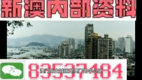 2025新澳精准正版免费和2025新澳正版今晚资料,精选解析、解释与落实