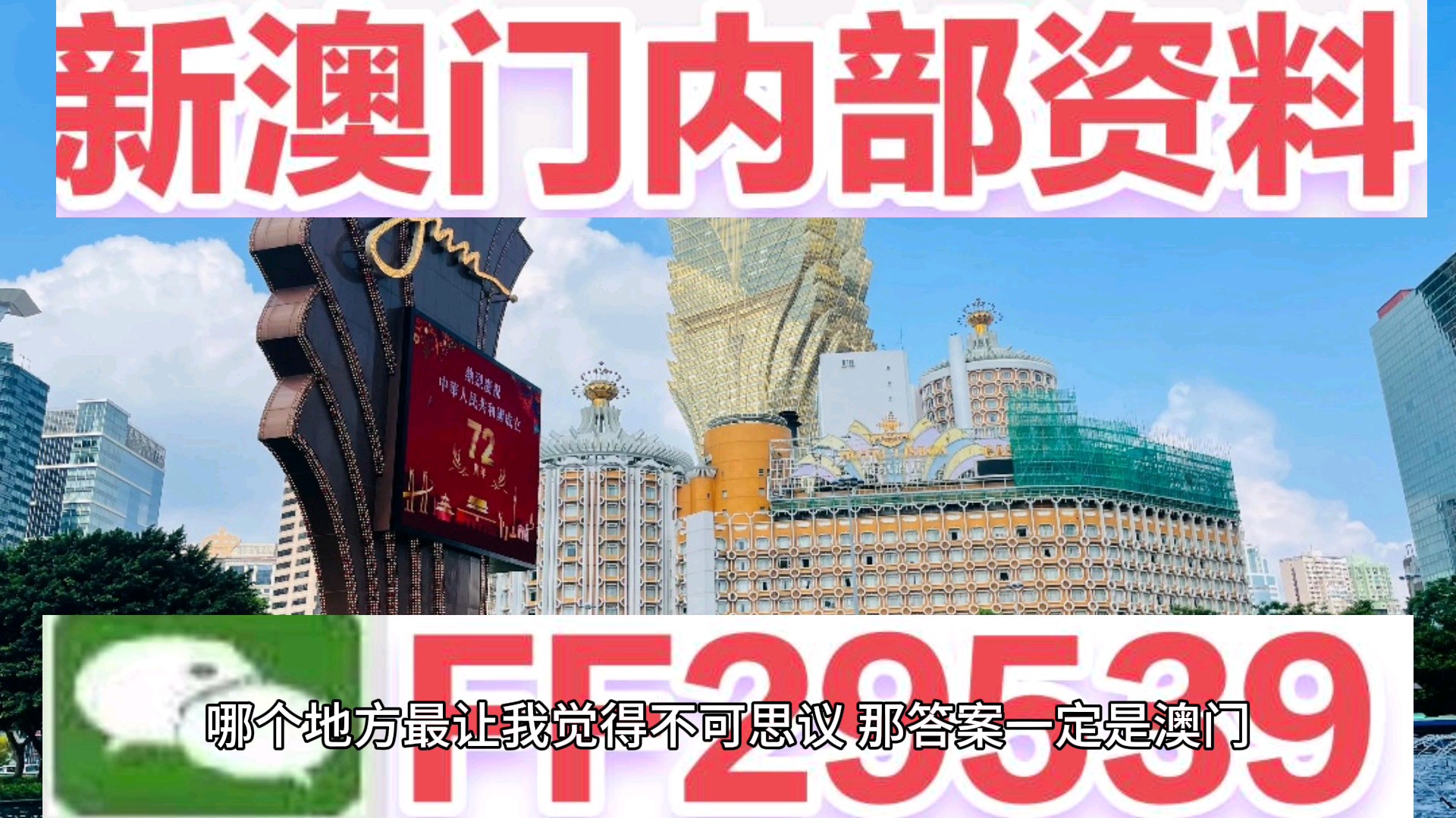2025新澳门天天免费精准,精选解析、解释与落实